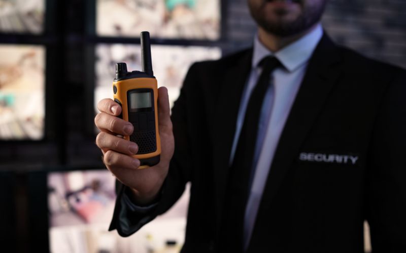 Professional Security Services