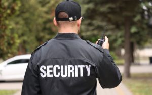 Professional Security Services in California